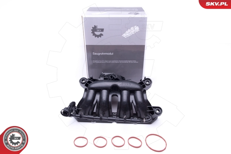 Intake Manifold Module
